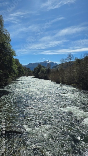 Stunning view of Río Maichín on a sunny day in southern Chile. Clear river waters, surrounding forest, and bright natural light create a vibrant and peaceful landscape.
