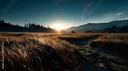 Goldenes Morgenlicht über weiter Graslandschaft mit Bergen am Horizont
