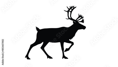 Black Silhouette of a Reindeer or Caribou Walking Isolated on White Background