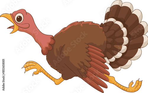 turkey cartoon illustration