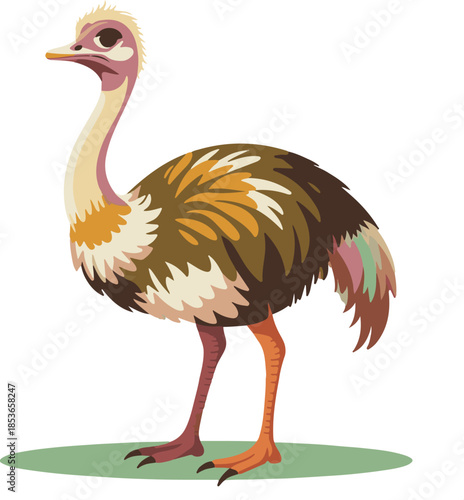 ostrich cartoon isolated on white