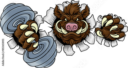 A wild boar, hog razorback warthog pig weight lifting trainer, exercise or body building gym cartoon sports mascot holding weights dumbbell