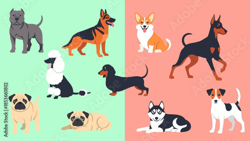 A variety of dog breeds depicted in a colorful, divided illustration
