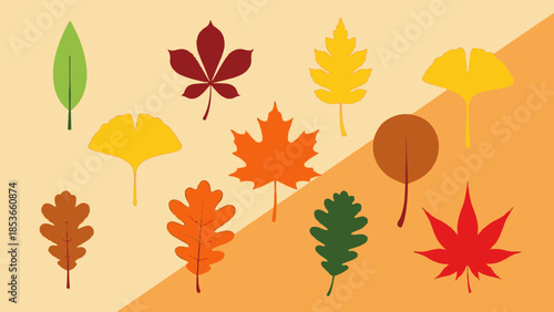 A colorful assortment of autumn leaves showcasing diverse shapes and fall foliage colors in a vibrant collection