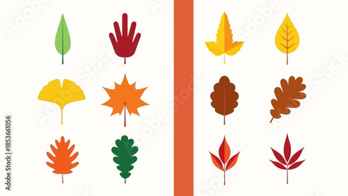 Collection of stylized autumn leaves in a variety of shapes and colors