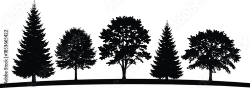 Black silhouette vector illustration of mixed forest trees including pine and oak standing in a row isolated on white background