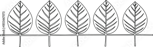 Minimalist black and white line art illustration of five identical leaves with detailed vein patterns, perfect for nature-themed designs, eco branding