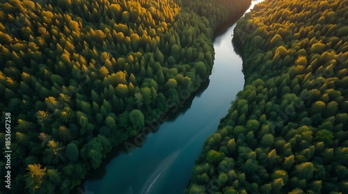 An ultra-realistic aerial drone shot of a winding river through a dense, emerald green forest, golden hour sunlight dappling the canopy, wide landscape vista