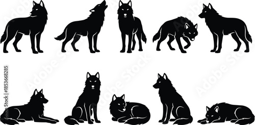 Black wolf silhouette poses set illustration showing standing, walking, sitting, resting, and hunting positions, wildlife animal vector collection