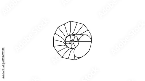 Simple Line Drawing of a Nautilus Shell.