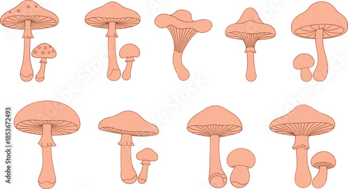 Silhouette of diverse mushroom pairs, fungal shapes, cap and stem variety, black vector illustration, botanical fungi collection