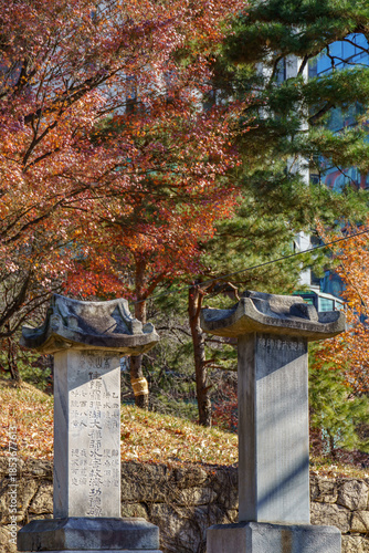 Photography Winter in Seoul, Südlorea