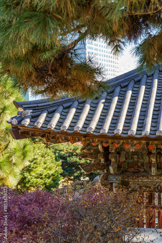 Photography Seoul in Südkorea