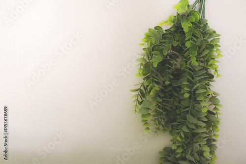 Artificial hanging green leaves on white wall with copy space for text.