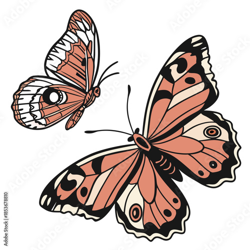 Orange and black butterflies captured mid flutter natural asymmetrical