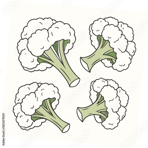 Broken cauliflower pieces scattered symmetrical