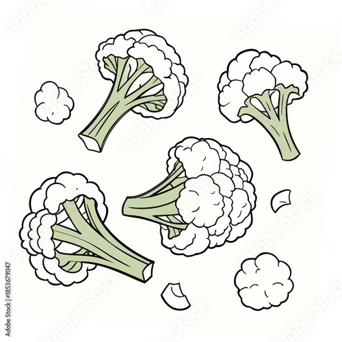 Broken cauliflower pieces scattered symmetrically vegetable