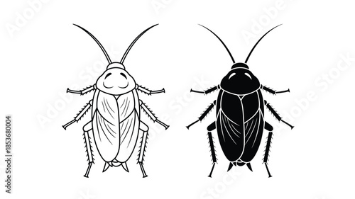 Two contrasting views of a cockroach detailed line drawing and solid silhouette