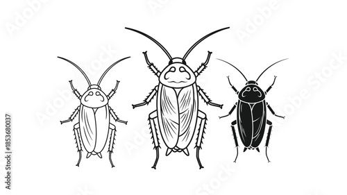 Detailed illustrations of three different cockroach views in black and white