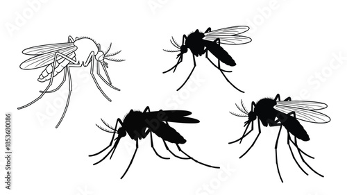 Detailed illustrations of mosquitoes in varying poses and levels of shading