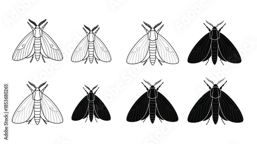 A collection of monochrome moth illustrations arranged in a grid pattern