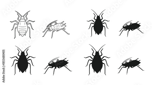A collection of black and white cockroach illustrations in various poses