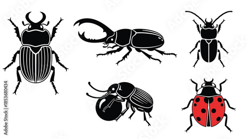 A collection of stylized insect illustrations featuring beetles and a ladybug
