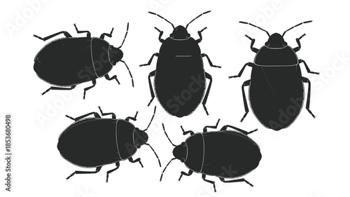 A group of black beetles illustrated in a simple graphic style