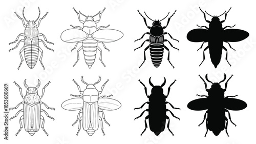 Illustrative depiction of various beetle and bee insect designs in black and white