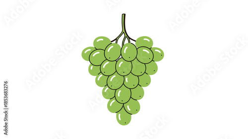 Bunch of Green Grapes Hanging from Stem.