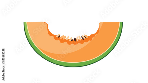 Cantaloupe Melon Slice Illustration.