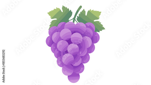 Bunch of Purple Grapes with Leaves.