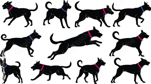 Black dog silhouette set in multiple walking, running and jumping poses with colorful collars, isolated animal illustration collection