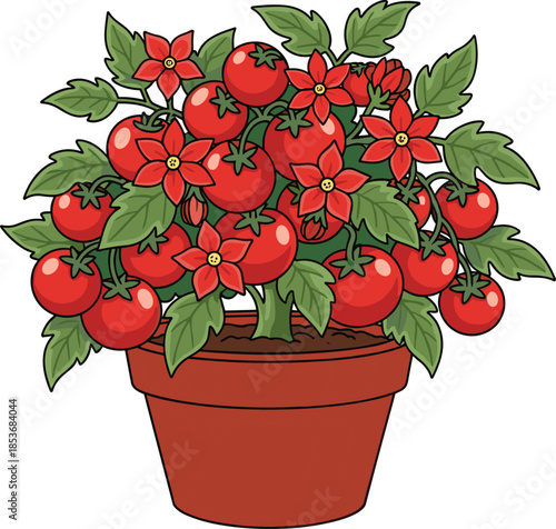 Colorful potted tomato plant illustration with ripe red tomatoes and flowers, gardening agriculture concept isolated on white background