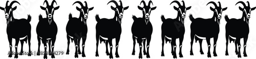 Goat herd silhouettes standing in a row isolated on white background, farm livestock pattern illustration for agriculture and rural design