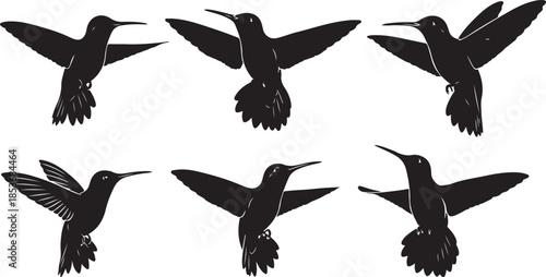 Six silhouettes of hummingbirds in flight avian wildlife