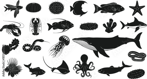 Marine life silhouettes collection featuring fish whale octopus jellyfish starfish and sea creatures isolated on white background for ocean design