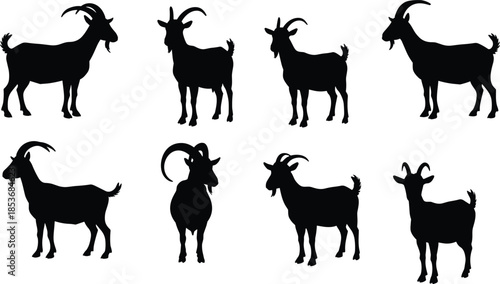 Black silhouette of goats in different poses, farm animals vector illustration, isolated on white background, wildlife, domestic animals