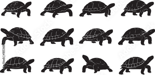 Twelve Tortoise Silhouettes in Black and White turtle