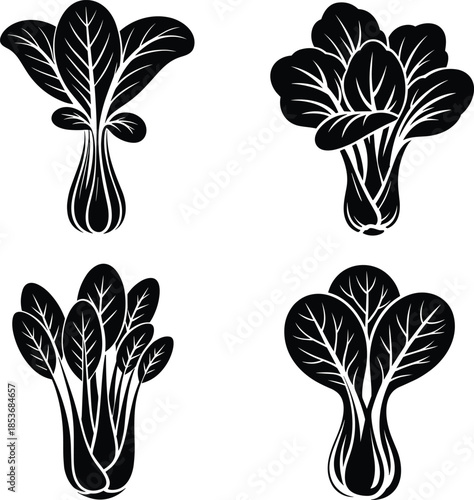 Bok choy vegetable illustration set, black and white leafy greens drawings, Chinese cabbage vector for food design, culinary art, and botanical graphics
