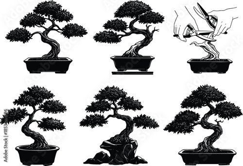 Bonsai tree illustration, traditional Japanese art, bonsai pruning process, miniature tree care, artistic bonsai silhouette, bonsai gardening, nature cultivation, plant design