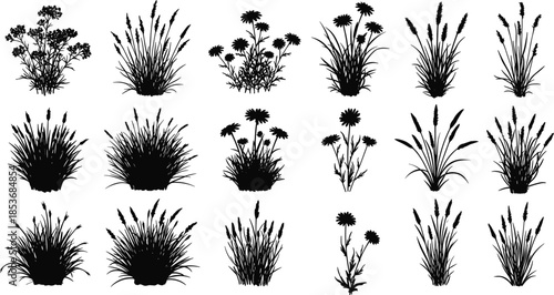Black silhouette set of wild grasses, flowering plants, and meadow foliage for botanical illustration, garden design, landscaping, and nature decoration