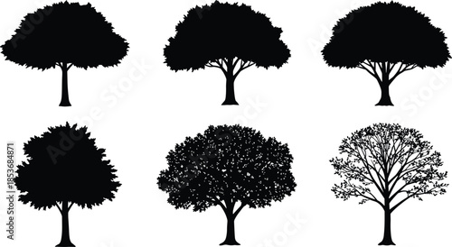 Black silhouette tree collection, isolated deciduous tree shapes, vector illustration, natural forest design elements, perfect for nature, landscape, and environment projects.