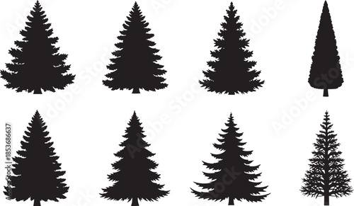 Collection of diverse pine tree silhouettes Keywords: silhouette, pine tree, evergreen, conifer