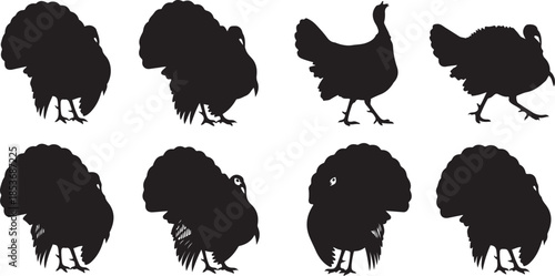 Eight Turkey Silhouettes in Black and White bird poultry