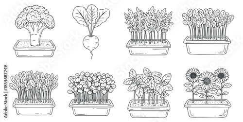 A collection of hand-drawn vegetable and flower illustrations in outline style, ideal for gardening themes and educational materials