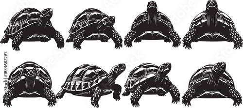 Eight Tortoise Silhouettes in Black and White turtle