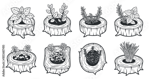 A collection of various plants in wooden stump pots, illustrated in black and white outline style, perfect for gardening and eco-themed designs