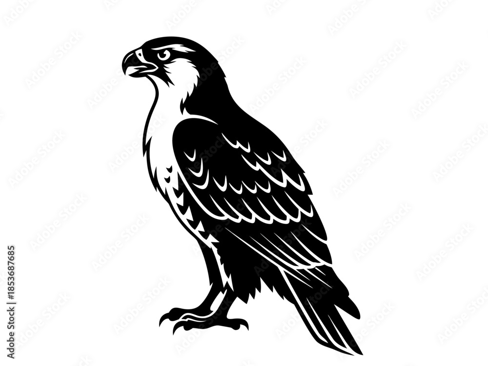 Obraz premium Majestic Raptor Bird Perched - A Detailed Vector Illustration of a Bird of Prey in Black and White