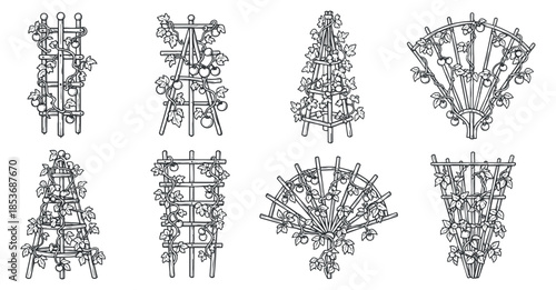 A collection of garden trellises in various designs and shapes, presented in black and white outline vector style, ideal for gardening illustrations and landscape design projects